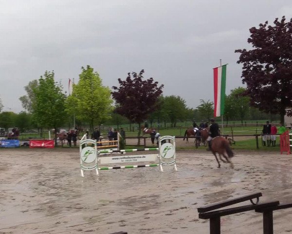Reitturnier Ahlen 2017