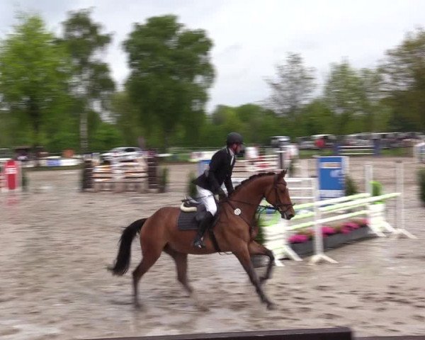 Reitturnier Ahlen 2017