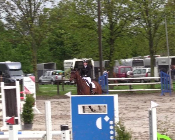 Reitturnier Ahlen 2017