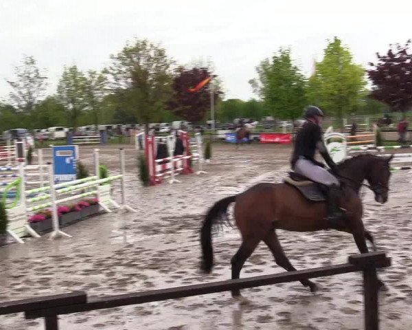 Reitturnier Ahlen 2017