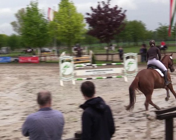 Reitturnier Ahlen 2017