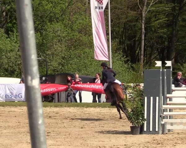 Reitturnier Halver 2017