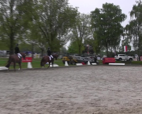 Reitturnier Ahlen 2017