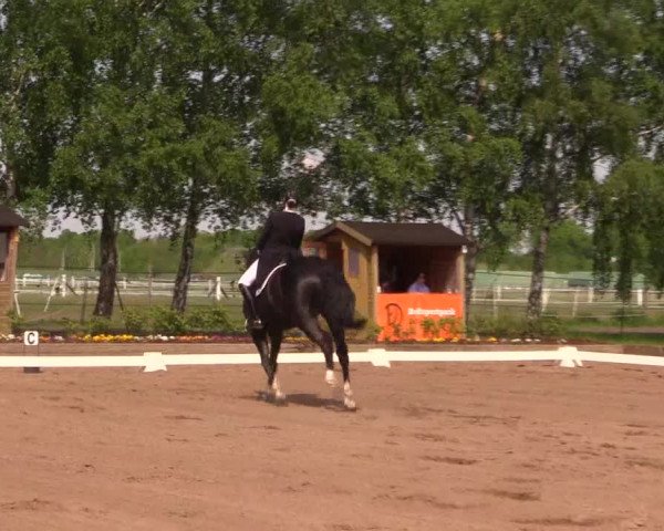 Reitturnier Dallgow 2017