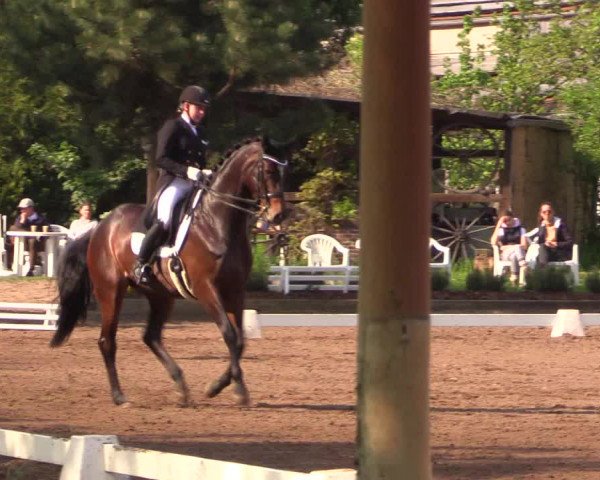 Reitturnier Dallgow 2017