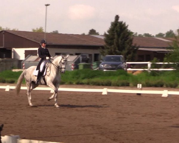 Reitturnier Dallgow 2017