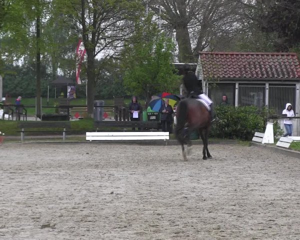 Reitturnier Ahlen 2017