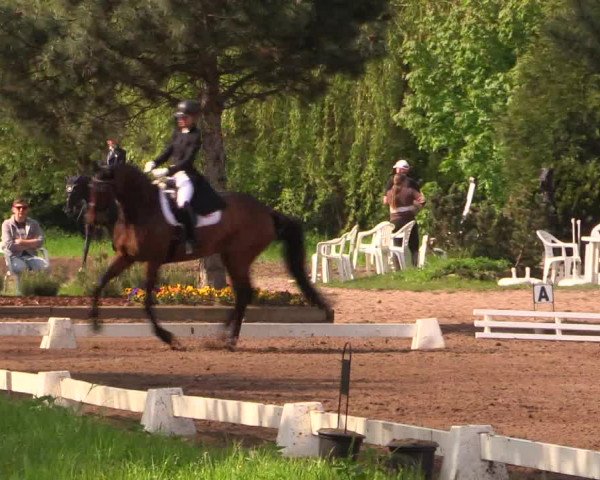 Reitturnier Dallgow 2017