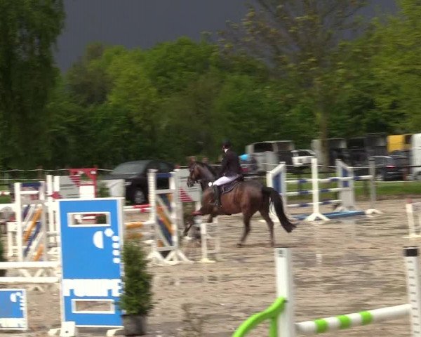 Reitturnier Ahlen 2017
