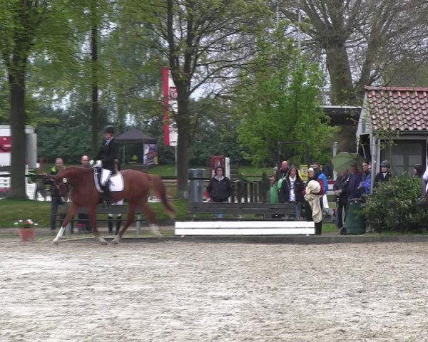Reitturnier Ahlen 2017
