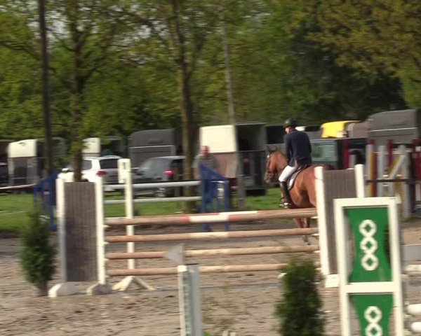 Reitturnier Ahlen 2017