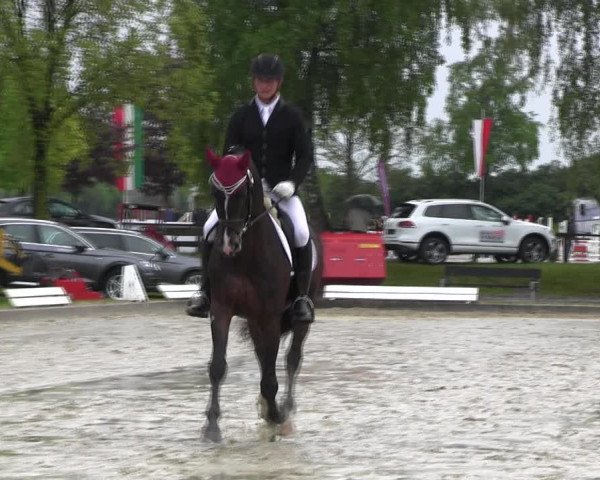 Reitturnier Ahlen 2017