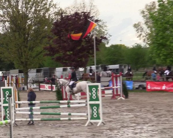 Reitturnier Ahlen 2017