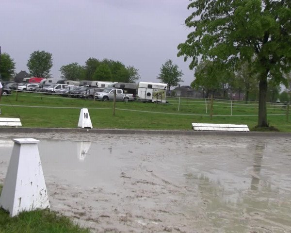 Reitturnier Ahlen 2017