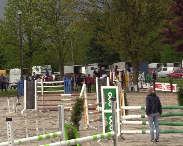 Reitturnier Ahlen 2017