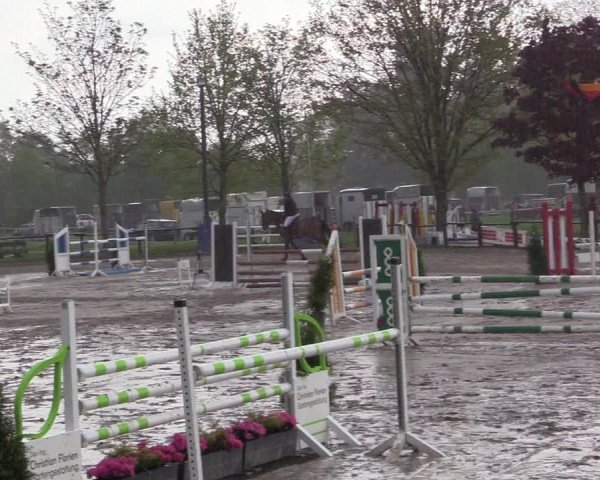 Reitturnier Ahlen 2017
