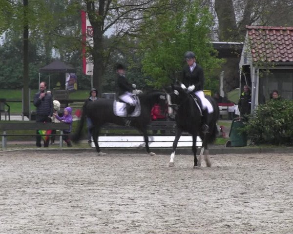 Reitturnier Ahlen 2017