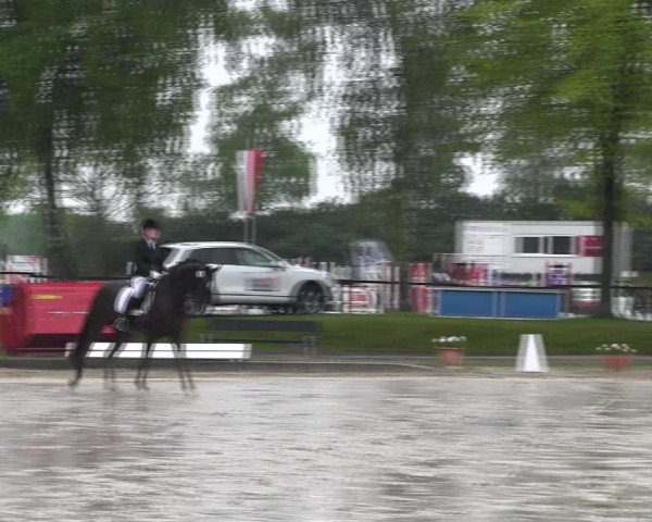 Reitturnier Ahlen 2017