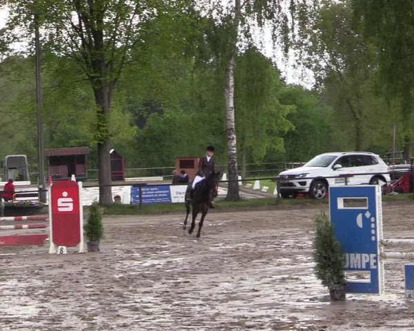Reitturnier Ahlen 2017