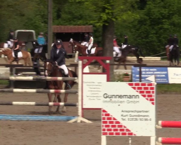 Reitturnier Ahlen 2017