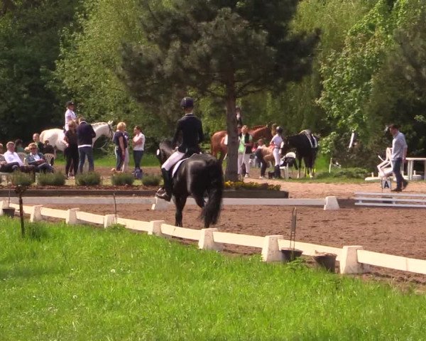 Reitturnier Dallgow 2017