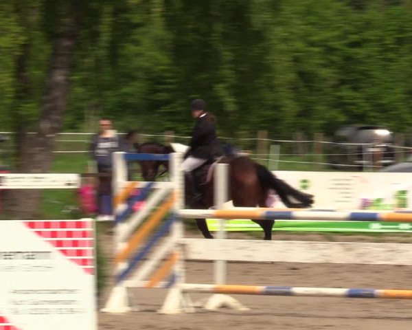 Reitturnier Ahlen 2017