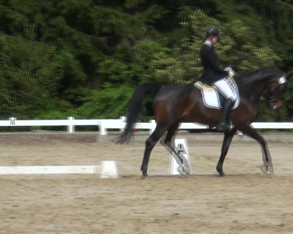 Reitturnier Halver 2017