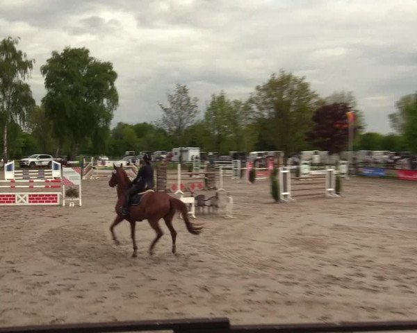 Reitturnier Ahlen 2017