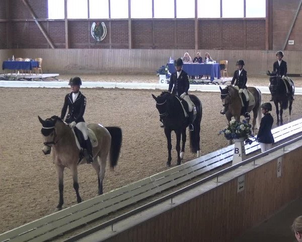 Reitturnier Köln-Leverkusen 2017