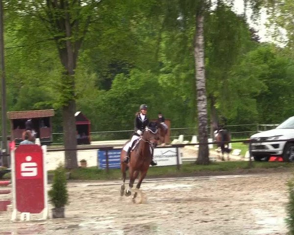 Reitturnier Ahlen 2017