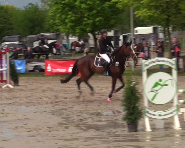 Reitturnier Ahlen 2017