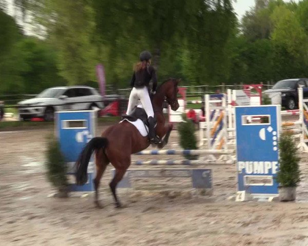 Reitturnier Ahlen 2017