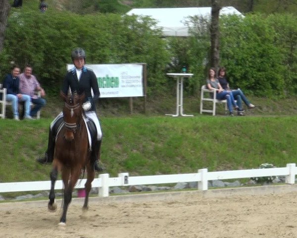 Reitturnier Halver 2017