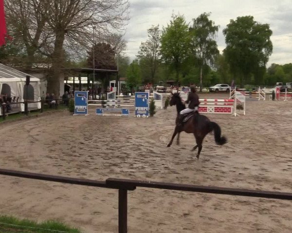 Reitturnier Ahlen 2017