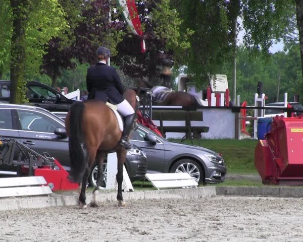 Reitturnier Ahlen 2017
