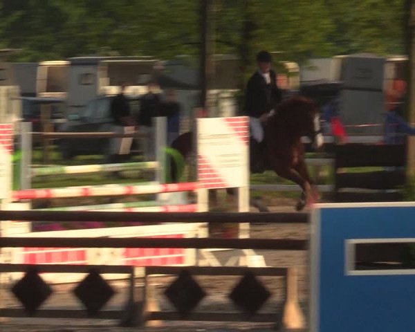 Reitturnier Ahlen 2017