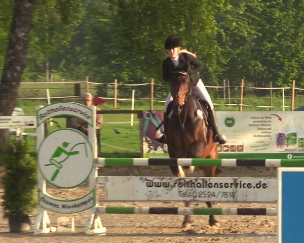Reitturnier Ahlen 2017