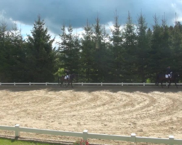 Reitturnier Halver 2017
