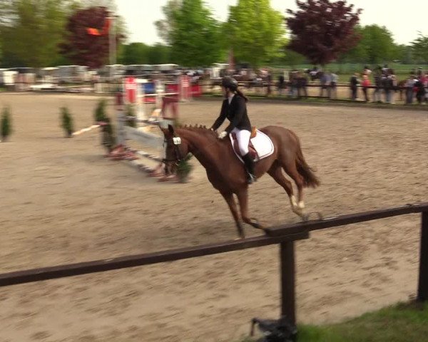 Reitturnier Ahlen 2017