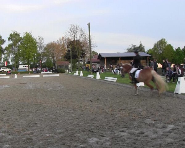 Reitturnier Ahlen 2017