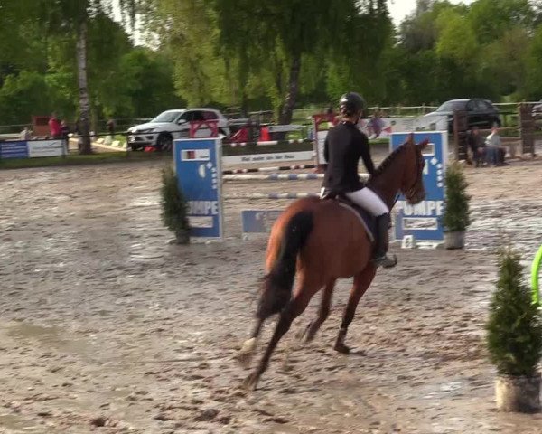 Reitturnier Ahlen 2017