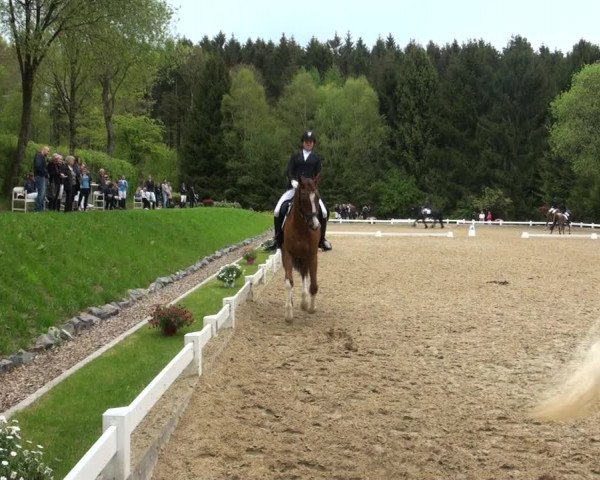 Reitturnier Halver 2017