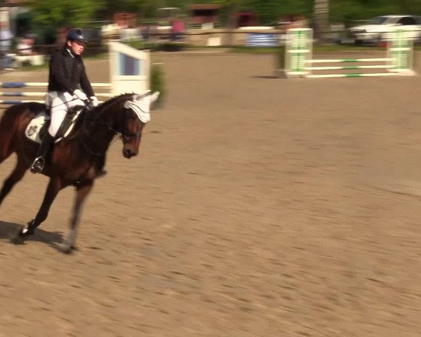Reitturnier Ahlen 2017