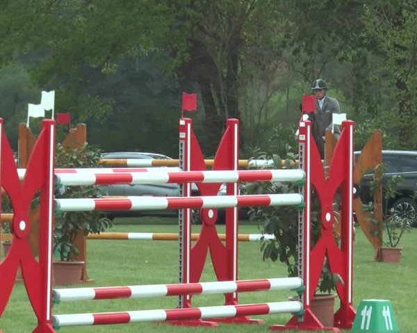 Reitturnier Lienen 2017