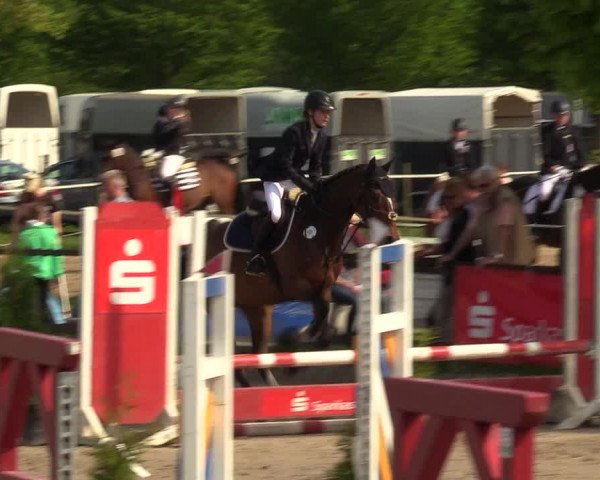 Reitturnier Ahlen 2017