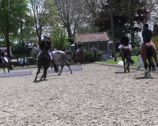 Reitturnier Ahlen 2017