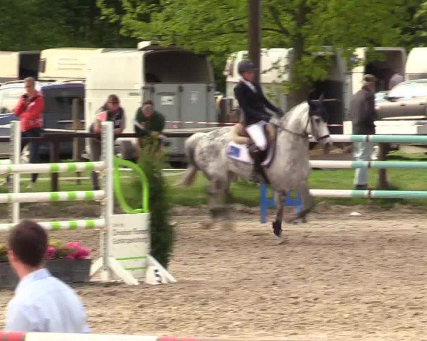 Reitturnier Ahlen 2017