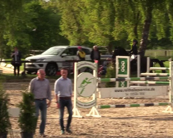 Reitturnier Ahlen 2017