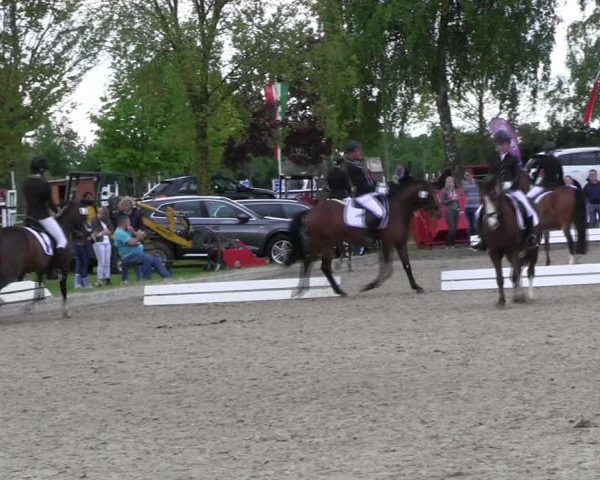 Reitturnier Ahlen 2017