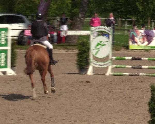 Reitturnier Ahlen 2017
